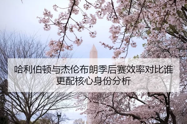 哈利伯顿与杰伦布朗季后赛效率对比谁更配核心身份分析