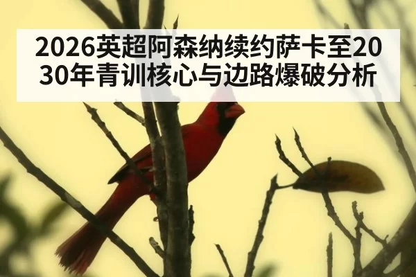 2026英超阿森纳续约萨卡至2030年青训核心与边路爆破分析