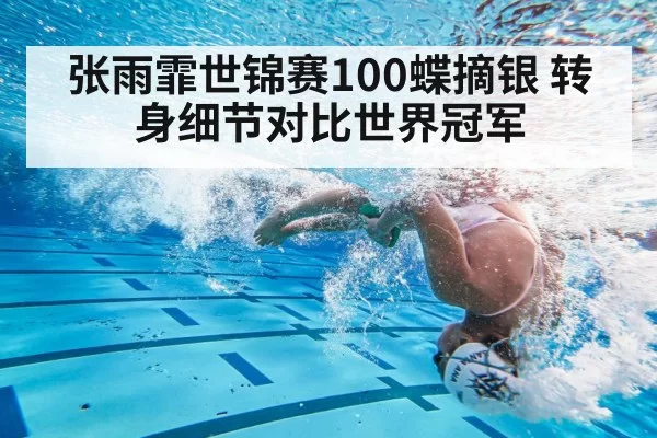 张雨霏世锦赛100蝶摘银 转身细节对比世界冠军